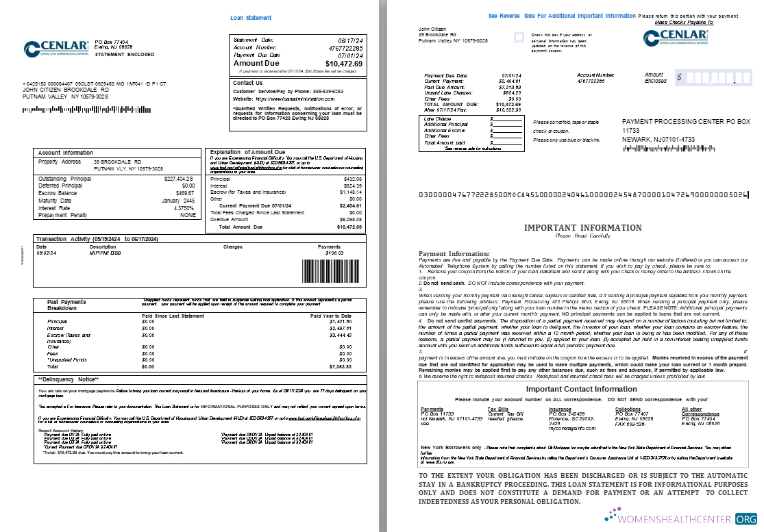 Download USA Central Loan Administration loan statement, 3 pages 1 2 scr Photoshop template